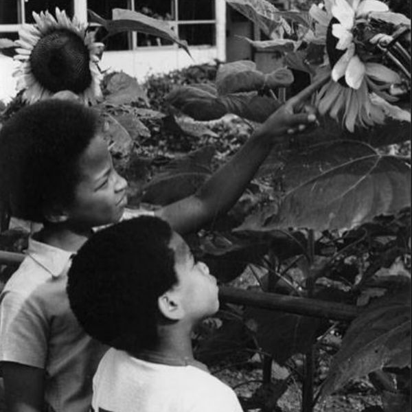 Schaffer-Miles Garden